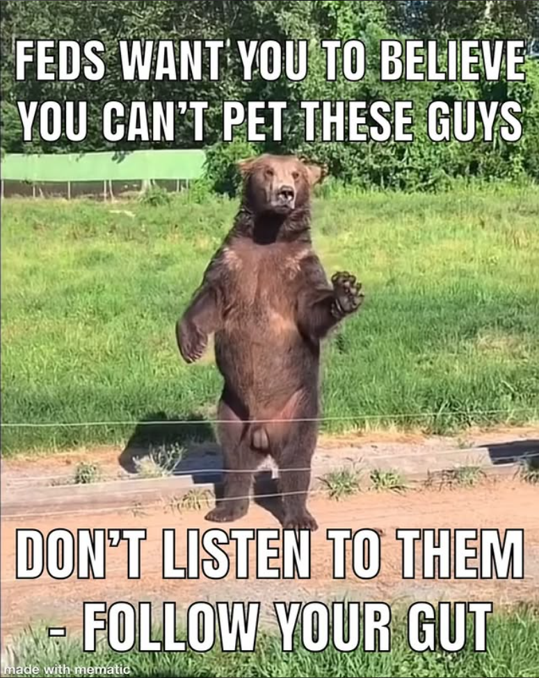 FEDS WANT YOU TO BELIEVE YOU CAN'T PET THESE GUYS DON'T LISTEN TO THEM ㅁ FOLLOW YOUR GUT made with mematic