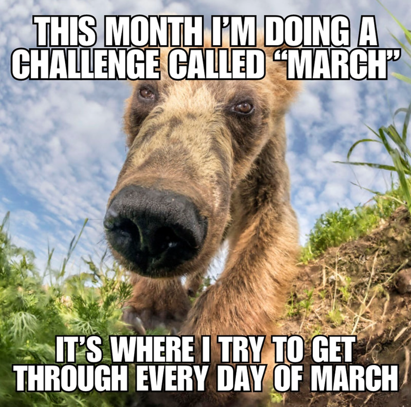 THIS MONTH I'M DOING A CHALLENGE CALLED "MARCH" IT'S WHERE I TRY TO GET THROUGH EVERY DAY OF MARCH