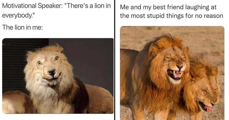 Motivational Speaker: "There's a lion in everybody." The lion in me: Me and my best friend laughing at the most stupid things for no reason