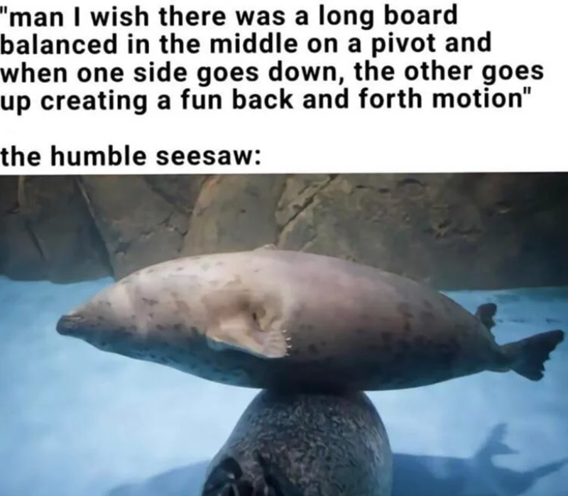 "man I wish there was a long board balanced in the middle on a pivot and when one side goes down, the other goes up creating a fun back and forth motion" the humble seesaw: