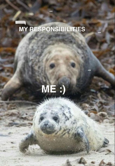 MY RESPONSIBILITIES ME :)