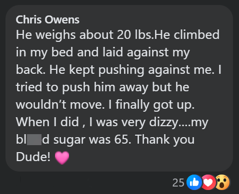 Chris Owens He weighs about 20 lbs. He climbed in my bed and laid against my back. He kept pushing against me. I tried to push him away but he wouldn't move. I finally got up. When I did, I was very dizzy....my blod sugar was 65. Thank you Dude! 25b