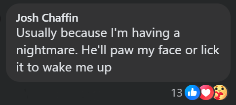 Josh Chaffin Usually because I'm having a nightmare. He'll paw my face or lick it to wake me up 13