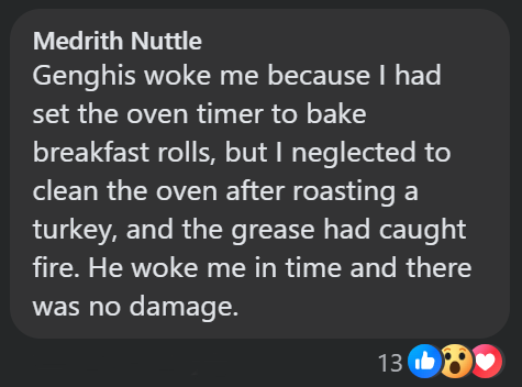 Medrith Nuttle Genghis woke me because I had set the oven timer to bake breakfast rolls, but I neglected to clean the oven after roasting a turkey, and the grease had caught fire. He woke me in time and there was no damage. 13