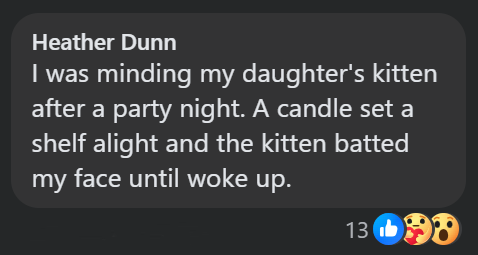 Heather Dunn I was minding my daughter's kitten after a party night. A candle set a shelf alight and the kitten batted my face until woke up. 13