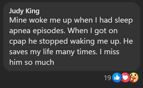 Judy King Mine woke me up when I had sleep apnea episodes. When I got on cpap he stopped waking me up. He saves my life many times. I miss him so much 19 ❤