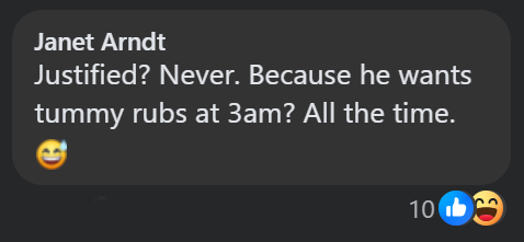 Janet Arndt Justified? Never. Because he wants tummy rubs at 3am? All the time. 106