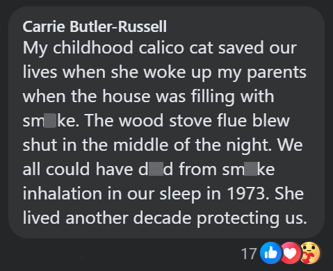 Carrie Butler-Russell My childhood calico cat saved our lives when she woke up my parents when the house was filling with smoke. The wood stove flue blew shut in the middle of the night. We all could have d d from smoke inhalation in our sleep in 1973. She lived another decade protecting us. 17 b ❤