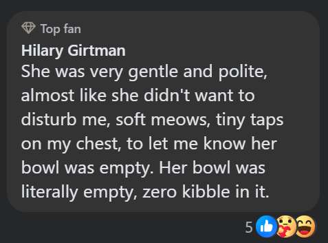 Top fan Hilary Girtman She was very gentle and polite, almost like she didn't want to disturb me, soft meows, tiny taps on my chest, to let me know her bowl was empty. Her bowl was literally empty, zero kibble in it. 5b