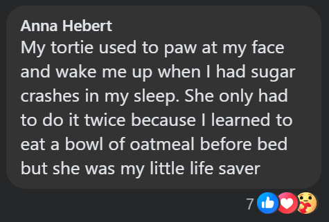Anna Hebert My tortie used to paw at my face and wake me up when I had sugar crashes in my sleep. She only had to do it twice because I learned to eat a bowl of oatmeal before bed but she was my little life saver 7b