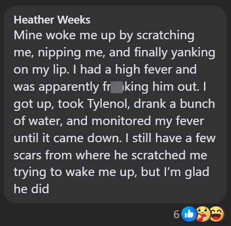 Heather Weeks Mine woke me up by scratching me, nipping me, and finally yanking on my lip. I had a high fever and was apparently froking him out. I got up, took Tylenol, drank a bunch of water, and monitored my fever until it came down. I still have a few scars from where he scratched me trying to wake me up, but I'm glad he did 6