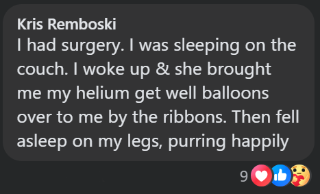 Kris Remboski I had surgery. I was sleeping on the couch. I woke up & she brought me my helium get well balloons over to me by the ribbons. Then fell asleep on my legs, purring happily