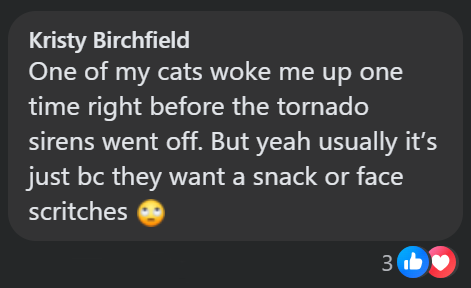 Kristy Birchfield One of my cats woke me up one time right before the tornado sirens went off. But yeah usually it's just bc they want a snack or face scritches 3b