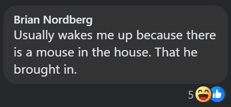 Brian Nordberg Usually wakes me up because there is a mouse in the house. That he brought in. 5ஆம்