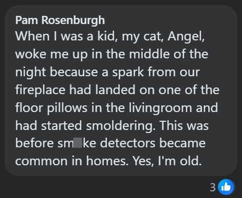 Pam Rosenburgh When I was a kid, my cat, Angel, woke me up in the middle of the night because a spark from our fireplace had landed on one of the floor pillows in the livingroom and had started smoldering. This was before smoke detectors became common in homes. Yes, I'm old. 3b