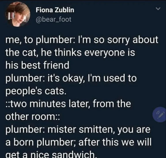 Fiona Zublin @bear_foot me, to plumber: I'm so sorry about the cat, he thinks everyone is his best friend plumber: it's okay, I'm used to people's cats. ::two minutes later, from the other room:: plumber: mister smitten, you are a born plumber; after this we will get a nice sandwich. (