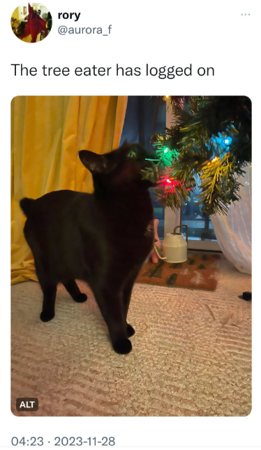 rory @aurora_f The tree eater has logged on ALT 04:23 2023-11-28