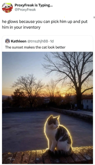 ProxyFreak is Typing... @ProxyFreak he glows because you can pick him up and put him in your inventory Kathleen @tmszhjh88.1d The sunset makes the cat look better