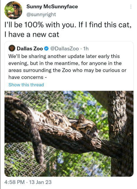 Sunny McSunnyface @sunnyright I'll be 100% with you. If I find this cat, I have a new cat Dallas Zoo @DallasZoo. 1h We'll be sharing another update later early this evening, but in the meantime, for anyone in the areas surrounding the Zoo who may be curious or have concerns - Show this thread 4:58 PM 13 Jan 23