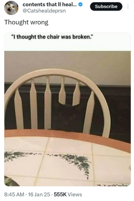 contents that Il heal... @Catshealdeprsn Thought wrong "I thought the chair was broken." 8:45 AM 16 Jan 25.555K Views Subscribe