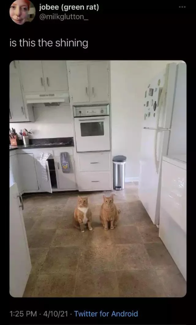 jobee (green rat) @milkglutton_ is this the shining 1:25 PM - 4/10/21 Twitter for Android