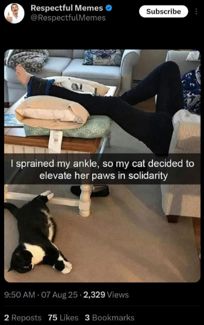 Respectful Memes @RespectfulMemes Subscribe I sprained my ankle, so my cat decided to elevate her paws in solidarity 9:50 AM - 07 Aug 25 - 2,329 Views 2 Reposts 75 Likes 3 Bookmarks