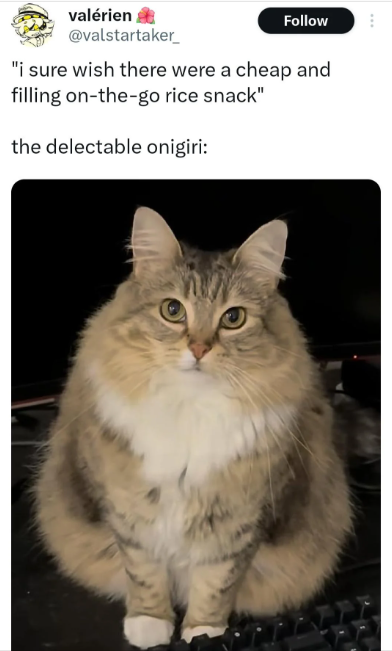 valérien Follow @valstartaker "I sure wish there were a cheap and filling on-the-go rice snack" the delectable onigiri: