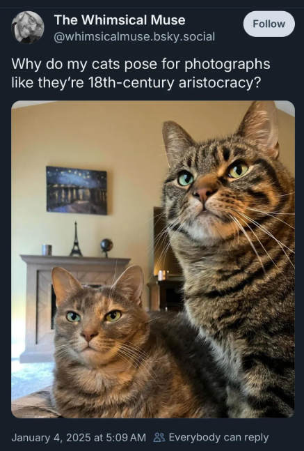 The Whimsical Muse @whimsicalmuse.bsky.social Follow Why do my cats pose for photographs like they're 18th-century aristocracy? January 4, 2025 at 5:09 AM Everybody can reply