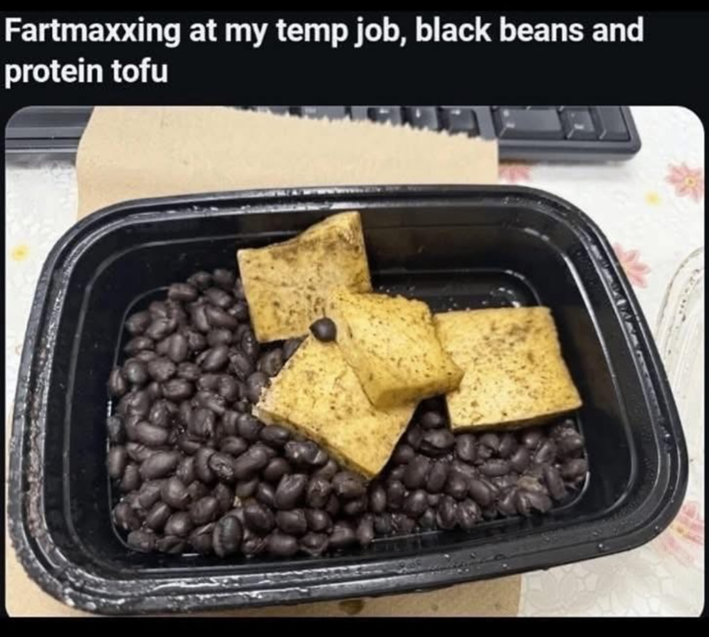 Fartmaxxing at my temp job, black beans and protein tofu