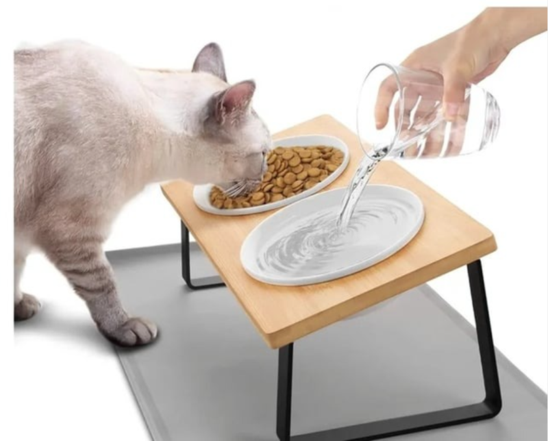 Cheezburger Image 10618780416