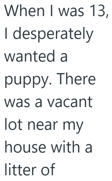 When I was 13, I desperately wanted a puppy. There was a vacant lot near my house with a litter of