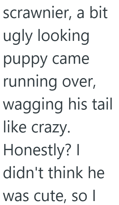 scrawnier, a bit ugly looking puppy came running over, wagging his tail like crazy. Honestly? I didn't think he was cute, so I