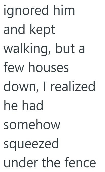 ignored him and kept walking, but a few houses down, I realized he had somehow squeezed under the fence