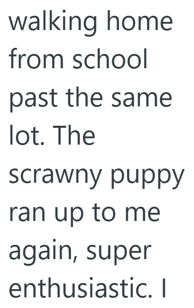 walking home from school past the same lot. The scrawny puppy ran up to me again, super enthusiastic. I
