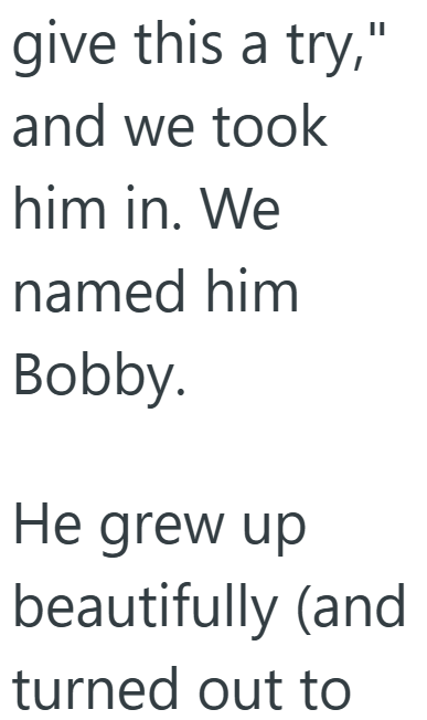 give this a try," and we took him in. We named him Bobby. He grew up beautifully (and turned out to
