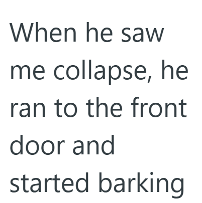 When he saw me collapse, he ran to the front door and started barking