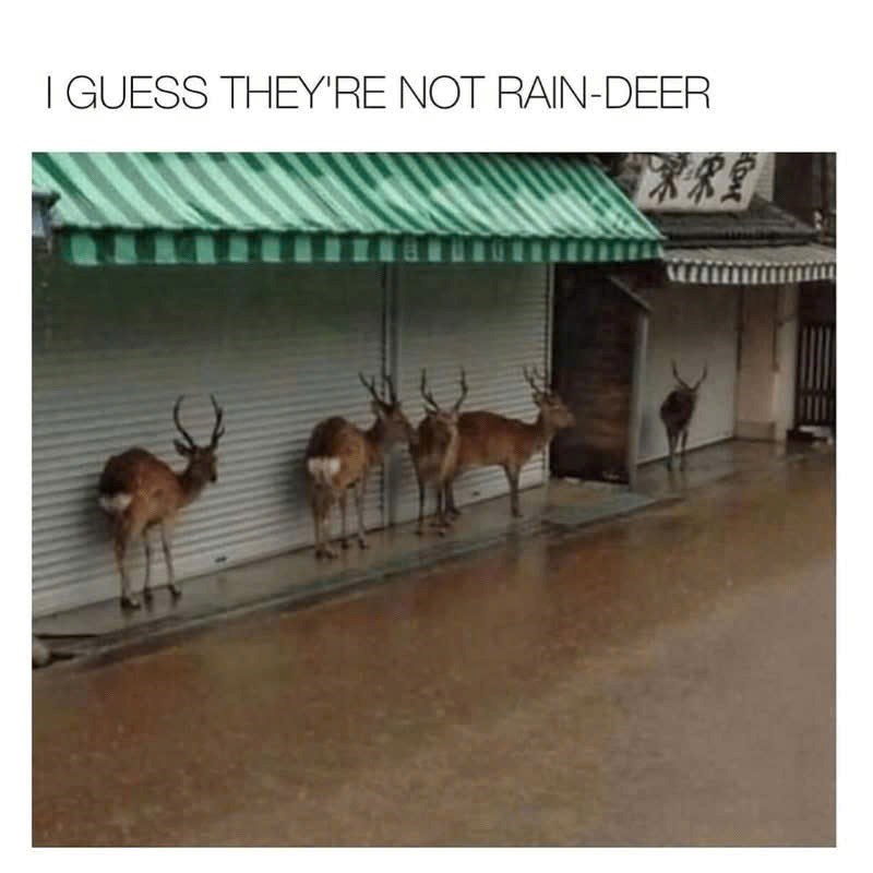 I GUESS THEY'RE NOT RAIN-DEER 國凍宋皇