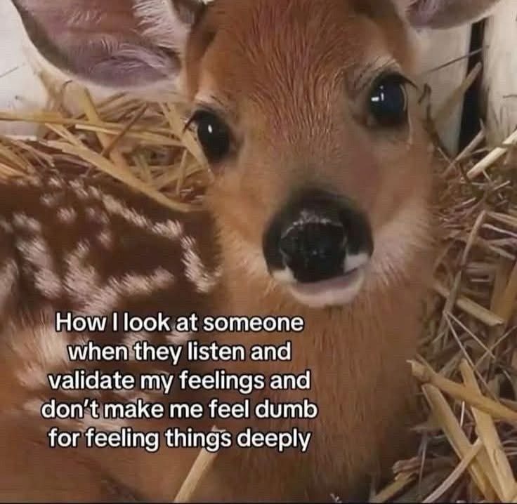 How I look at someone when they listen and validate my feelings and don't make me feel dumb for feeling things deeply