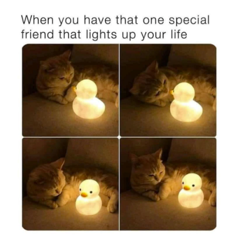 When you have that one special friend that lights up your life