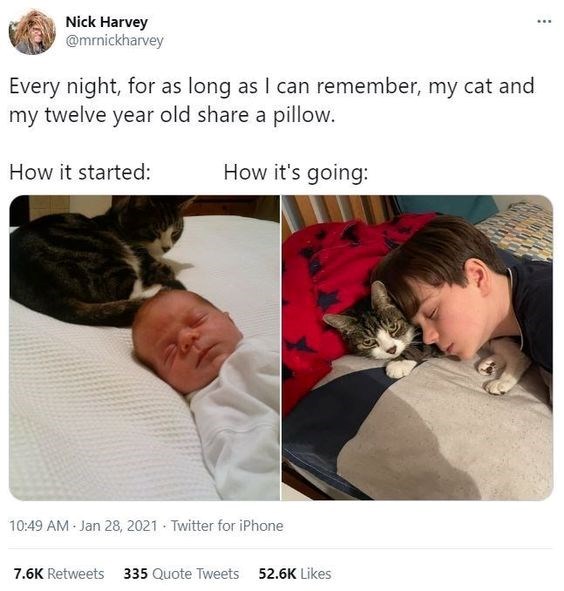 Nick Harvey @mrnickharvey Every night, for as long as I can remember, my cat and my twelve year old share a pillow. How it started: How it's going: 10:49 AM - Jan 28, 2021 Twitter for iPhone 7.6K Retweets 335 Quote Tweets 52.6K Likes