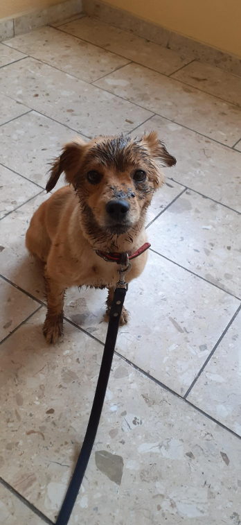 Cheezburger Image 10618833664