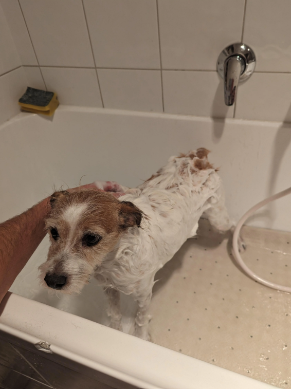 Cheezburger Image 10618833920