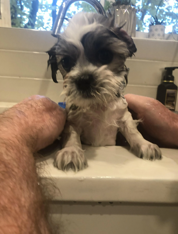 Cheezburger Image 10618834176