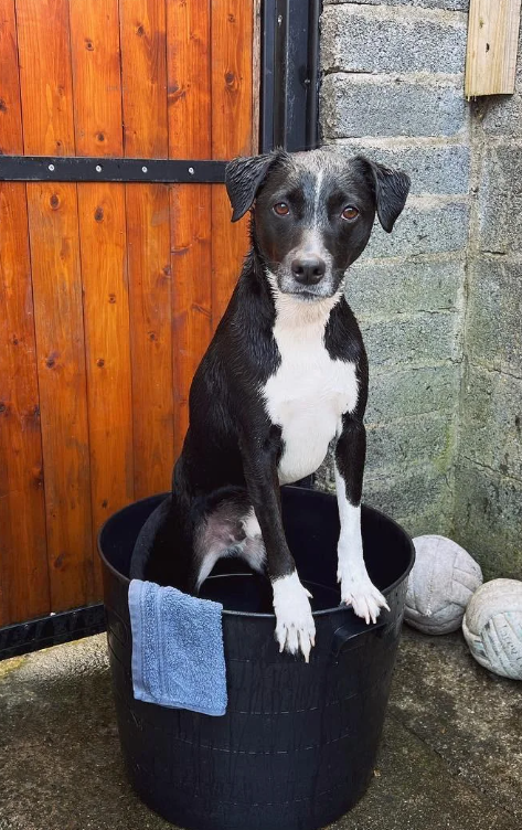 Cheezburger Image 10618834432