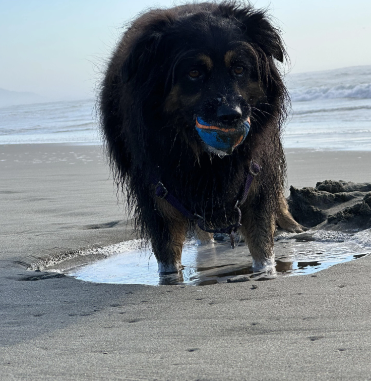 Cheezburger Image 10618835456