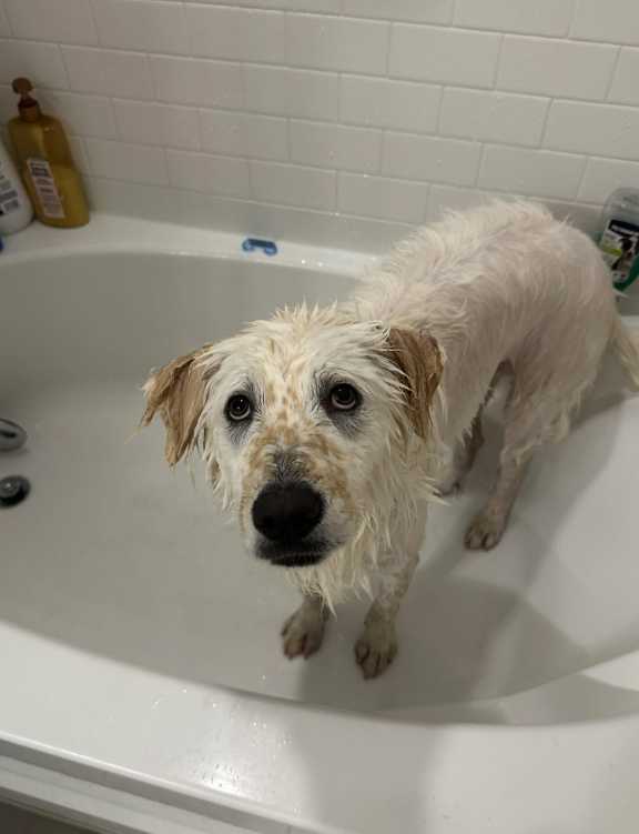 Cheezburger Image 10618835968