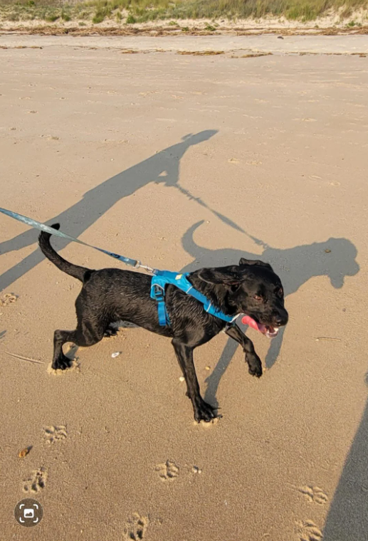 Cheezburger Image 10618836736