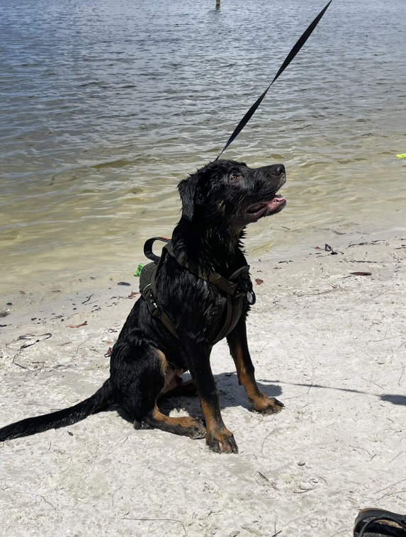 Cheezburger Image 10618836992