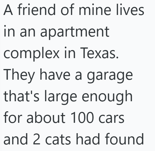 A friend of mine lives in an apartment complex in Texas. They have a garage that's large enough for about 100 cars and 2 cats had found
