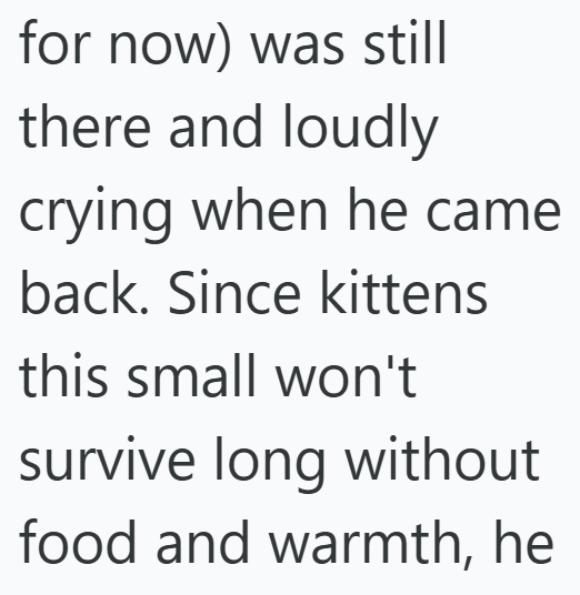 for now) was still there and loudly crying when he came back. Since kittens this small won't survive long without food and warmth, he